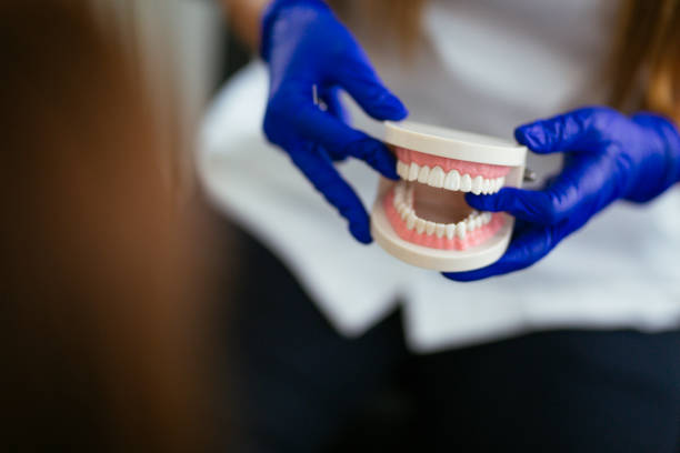 Best Dental Fillings (Composite and Amalgam)  in Meadow Woods, FL